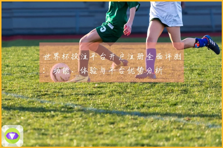 世界杯投注平台开户注册全面评测：功能、体验与平台优势分析