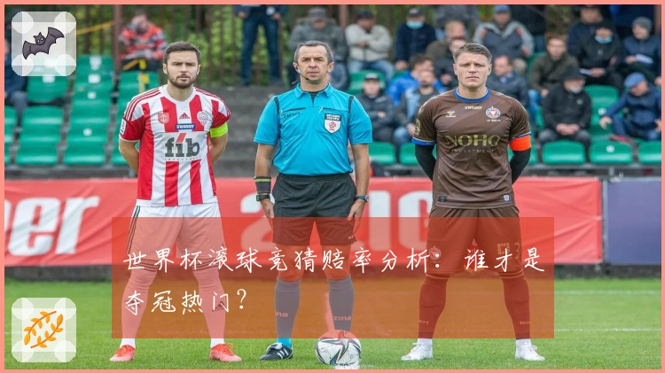 世界杯滚球竞猜赔率分析：谁才是夺冠热门？