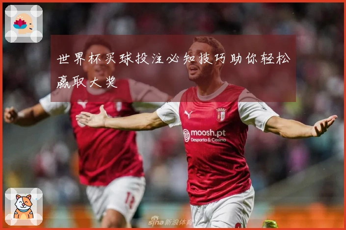 世界杯买球投注必知技巧助你轻松赢取大奖
