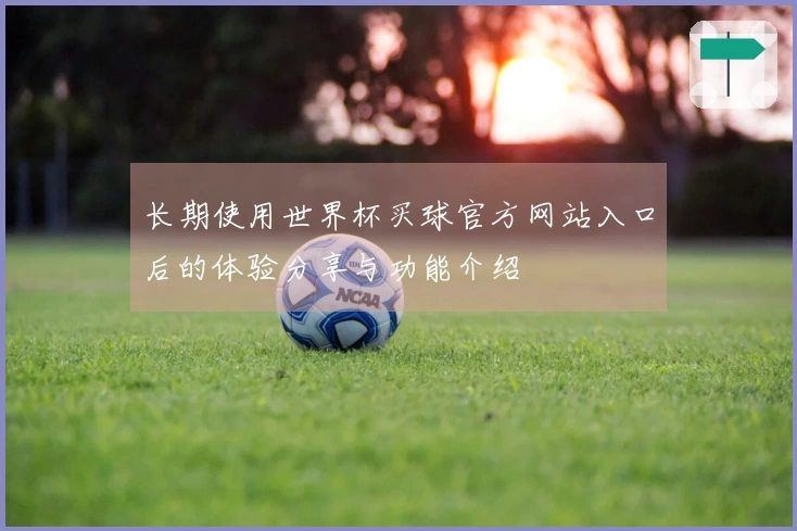 长期使用世界杯买球官方网站入口后的体验分享与功能介绍