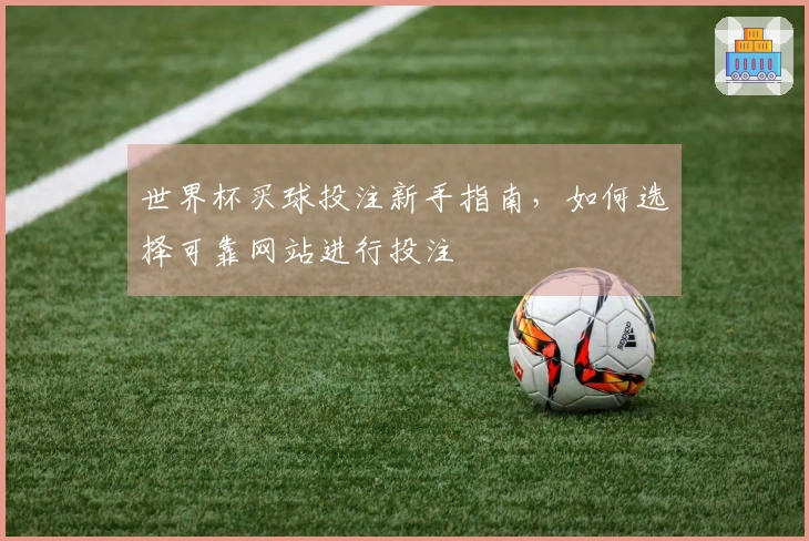 世界杯买球投注新手指南，如何选择可靠网站进行投注