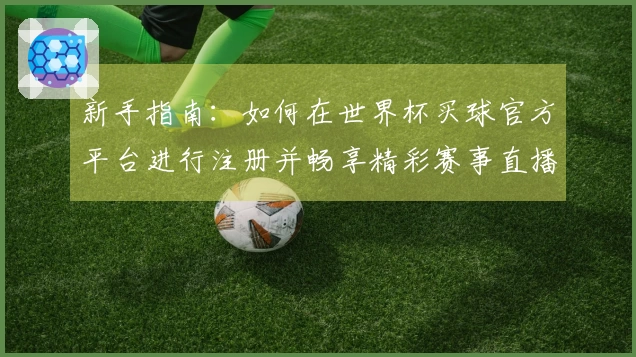 新手指南：如何在世界杯买球官方平台进行注册并畅享精彩赛事直播