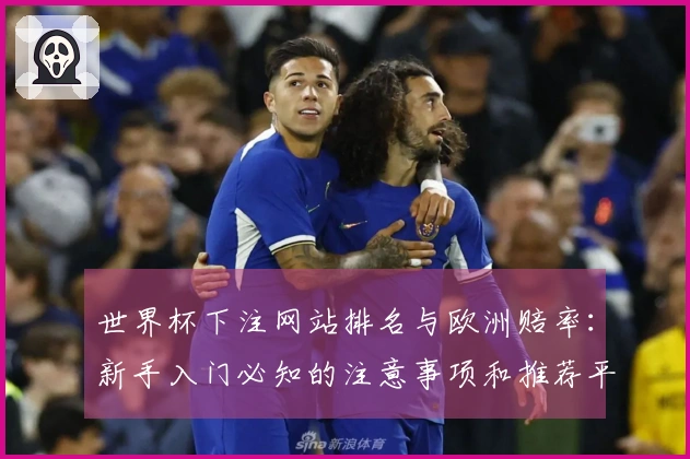 世界杯下注网站排名与欧洲赔率：新手入门必知的注意事项和推荐平台