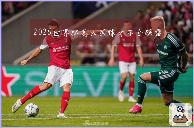2026世界杯怎么买球才不会踩雷