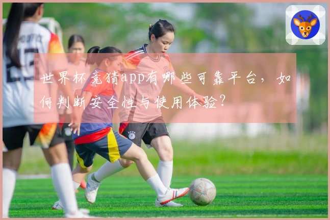 世界杯竞猜app有哪些可靠平台，如何判断安全性与使用体验？