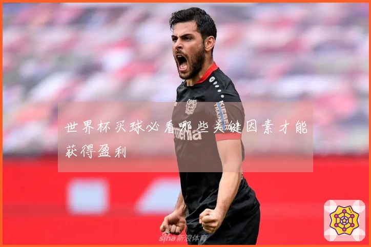 世界杯买球必看哪些关键因素才能获得盈利