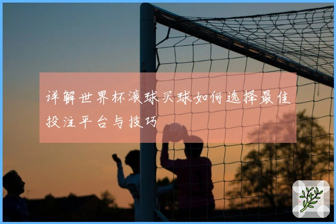 详解世界杯滚球买球如何选择最佳投注平台与技巧