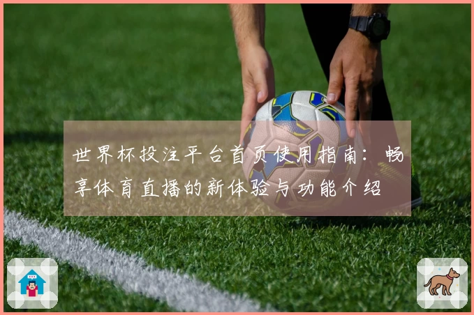 世界杯投注平台首页使用指南：畅享体育直播的新体验与功能介绍