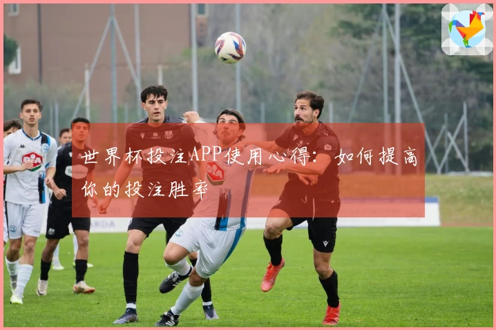 世界杯投注APP使用心得：如何提高你的投注胜率